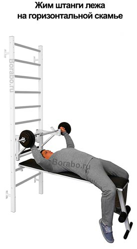 spsh1_shved_1_borabo