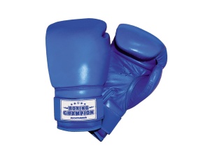 Перчатки боксерские Romana для детей 10-12 лет (8 унций) ДМФ-МК-01.70.05